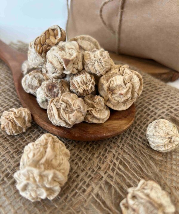 Kachri (dried) - Image 2