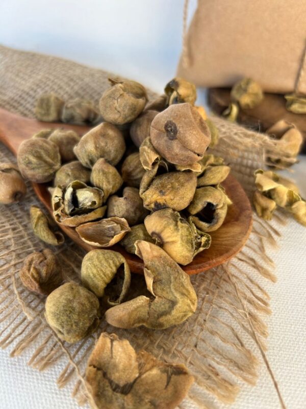 Gunda (dried) - Image 2